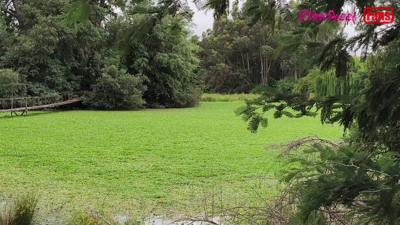 Riderqueen: 和年轻人做爱,大鸡巴,给我的粉丝的视频