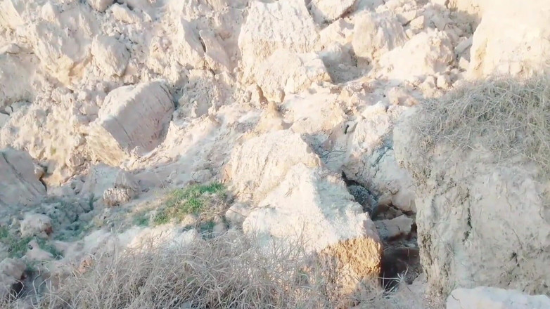 Abida sexy: 户外德西性爱