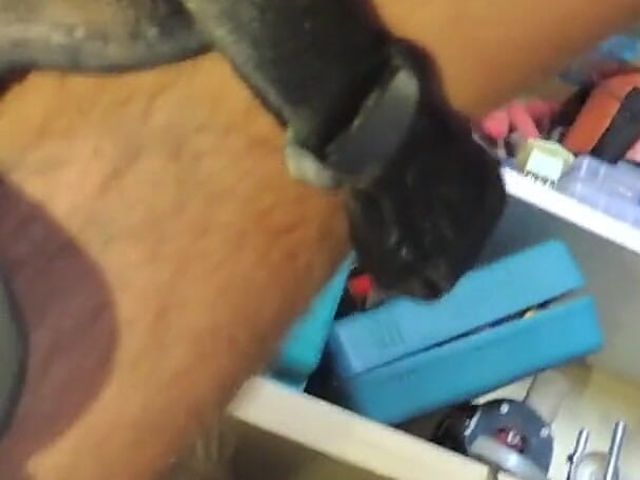 Very Tight Anal in Toolroom Full Video Https://faphouse.com/models/chemanuchao (Chemanuchao)