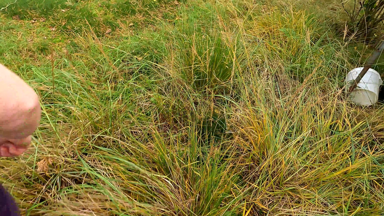 Bouncy Tits Action: 사다리에 기대어 내가 너의 젖탱이를 이길거야