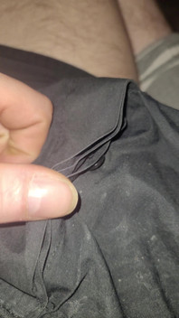 Penis