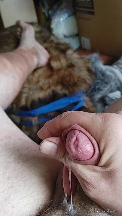 BigManShaman: Tugging the Cock