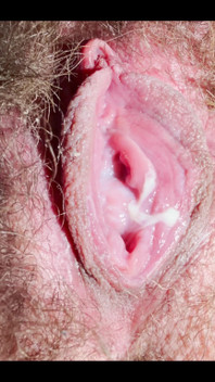 Extremely Close-up of a Hairy, Creamy Pussy