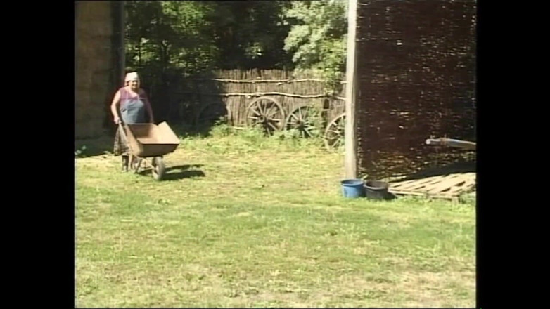 MMV films - The Original: Silvie Raz отшпилил очень жестко огромный член!