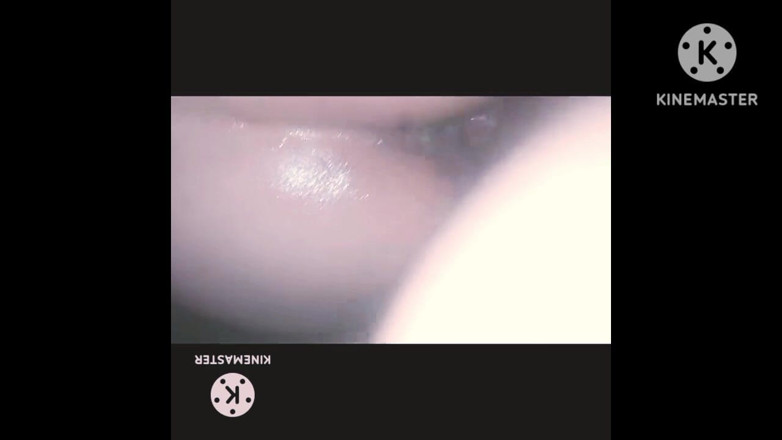 Lubnawife: Bir satışı kapatmak için dölleme evi alıcısının amını sikiyorum