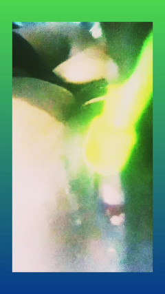 Perswayzion Xstacy: Goed poesje