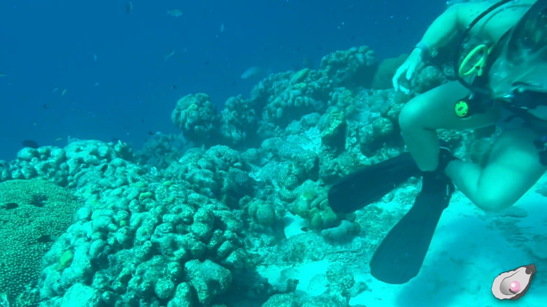 Mistress Pink Pearl: Solo tiempo en Bonaire