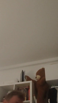 Teddy Bearor Jumps on Cock