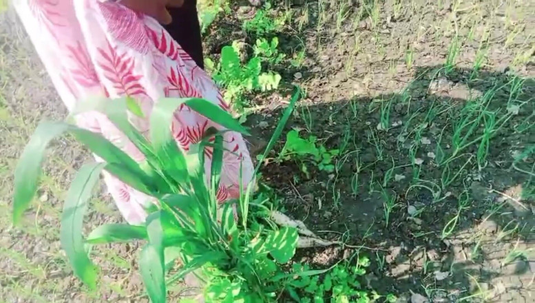 Bk Vlogs: Desi Bhabhi var knullad i fält