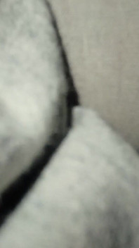 I Cum on My Mother-in-law's Dirty Panties