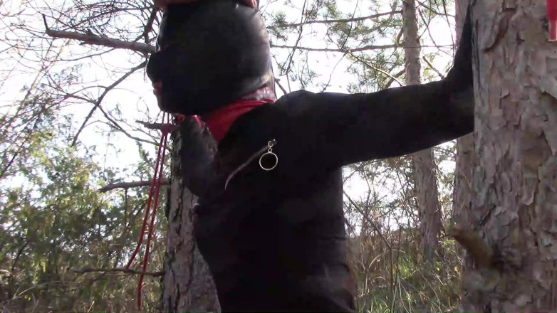 LauraOnHeels: Outdoor sex in the wood. Wearing sexy clothes and high...