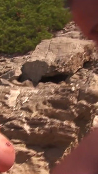 Madura rubia milf complace amante en rocky shore