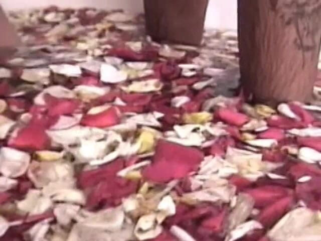 Shemales Tales: Dva Kusy se střídají šukání zadku Štíhlá Latina Ladyboy