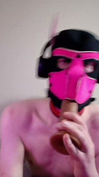This Could Be Your Cock in Hound's Mouth