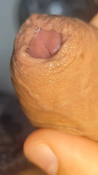 Protein Kaynağı Zaten Kaya Gibi Ortaya Çıkıyor.