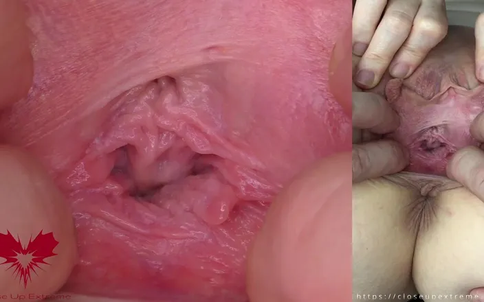 Close Up Extreme: The Mistress's Cunt Is Stretched. Extreme Close-up of Her Wide...