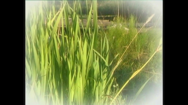 PURZEL TV - our best full movie: Парад груди!