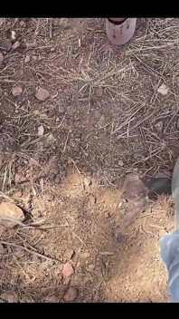 Indian Desi Muslim Girl Cheating Boyfriend and Rough Sex with Village Boy at Jungle Outdoor - Hindi Audio