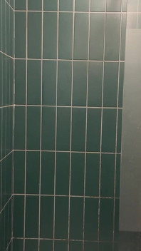 I Give Myself a Good Wank in My Friend's Shower