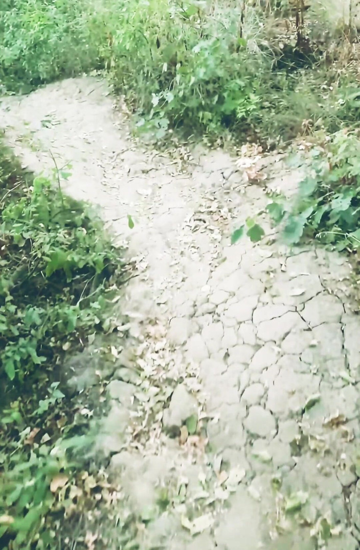 MaleModel: POV Naked Walk in the Woods