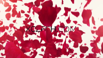 XCZECH: Tabitha Poison - tunggangan pepek - awek bertatu Czech menunjukkan pepek pada...