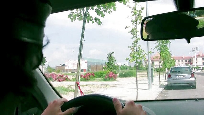 Reality Babes: 叩くために売春婦を拾う