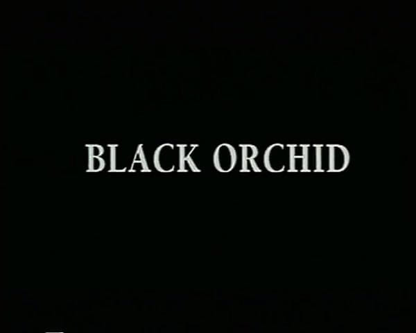 GERMAN PORN CLASSICS: Orquídea Negra
