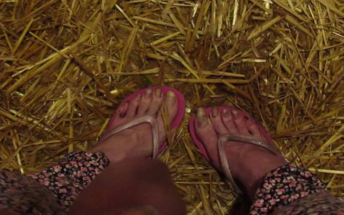 Barefoot Stables: Pissy Stable Feet