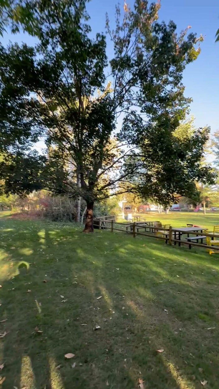 unemployedrobot: Публічна мастурбація boise idaho greenbelt велосипедна доріжка