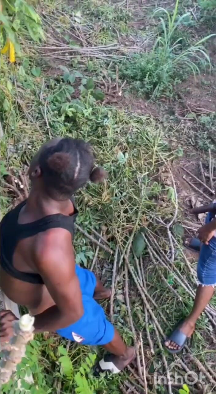 Chief_daddyy: タイプCからタイプCへの伝送。