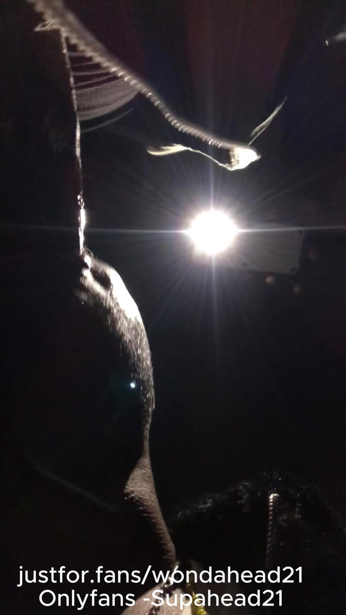 Wondahead21: Culto del bbc di notte: rischioso pompino pubblico e scopata...