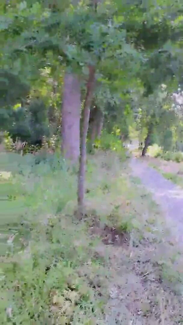 Slutboyben: Il ragazzo in cam4 maiale esibizionista pubblico mega sexy