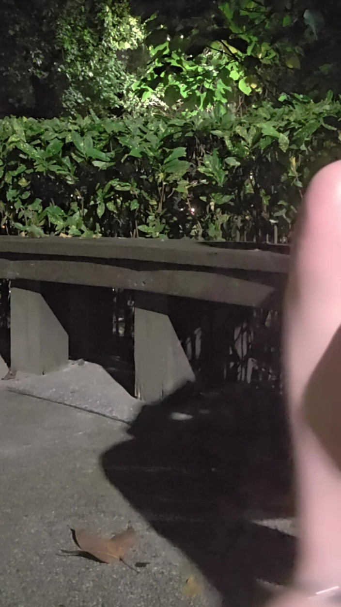 Taiwancdgirl: छद्म लड़की टिंगक्सुआन उसे पार्क में एक नकली गाय के साथ ले जाती है