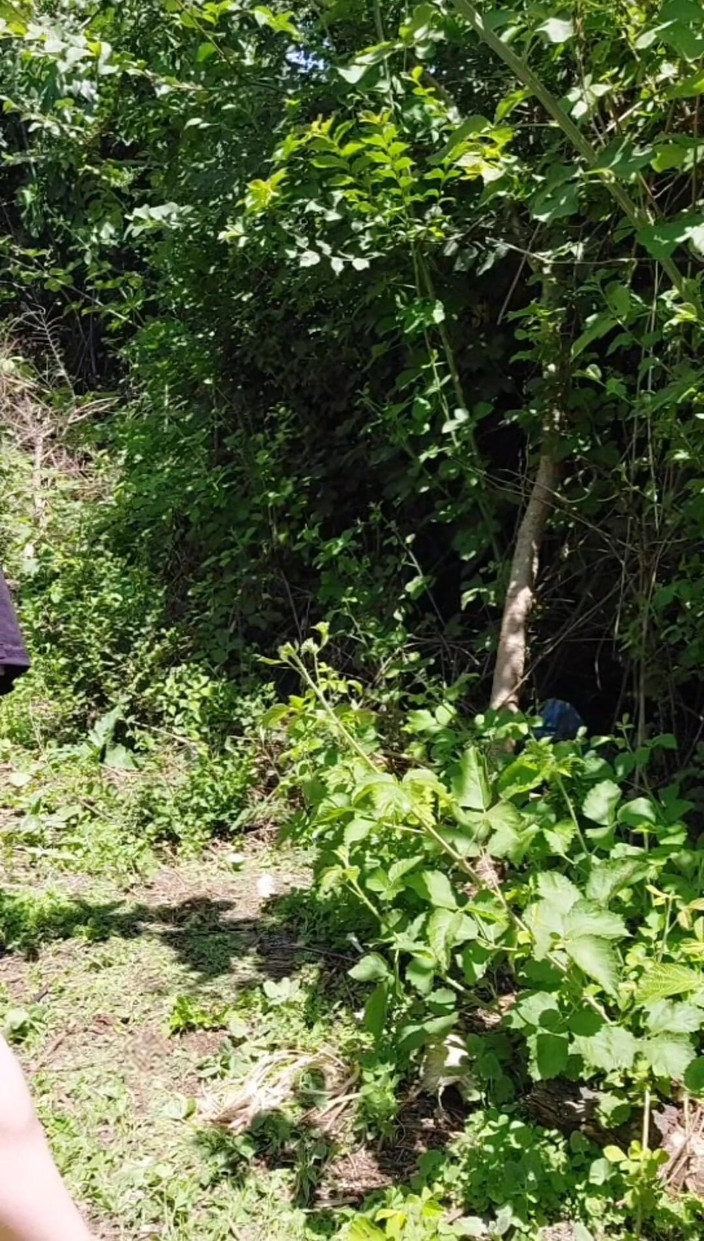 Kitty_Cross: 庭で射精 巨根 熱い大量の絶頂 セクシーなモデル レディーボーイ 友達に見られていると屋外で