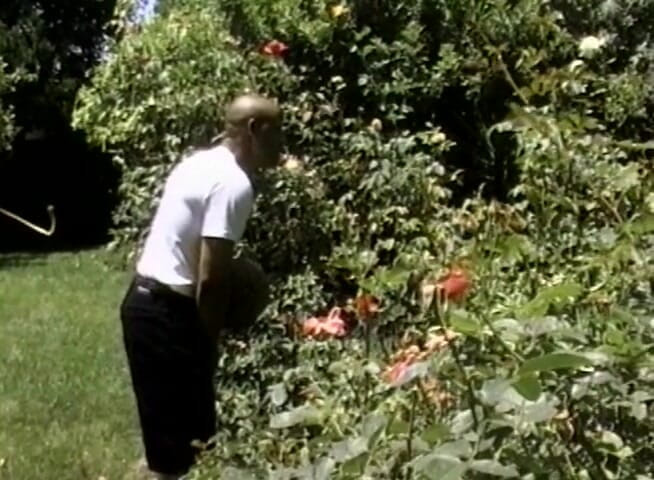 The Vintage Era: BBC drilling ebony's pussy outdoors