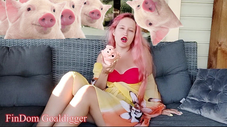 FinDom Goaldigger: Przegląd formularza wniosku o niewolnika gotówkowego