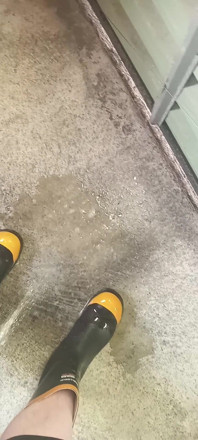 Pissing on Steel Toe Black Rubber Wellies