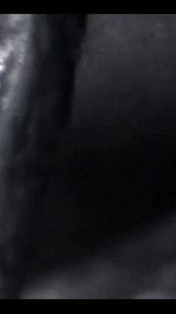 4291721065.mp4