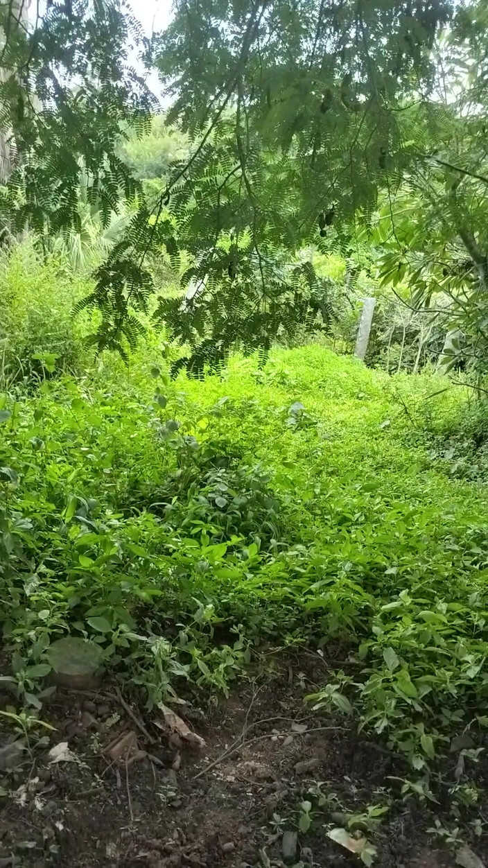 Mg3947731: Manžel manželka plná Deshi Sexy videa