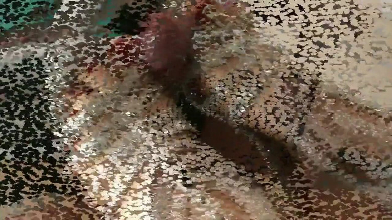 Nylon MILFS: Schmutzige footjob-zusammenstellung