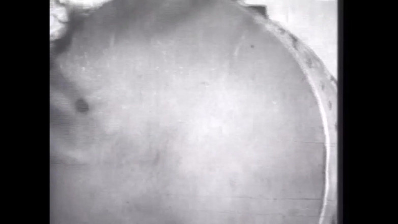 The Unforgettable: Josephine Tanzt Theater