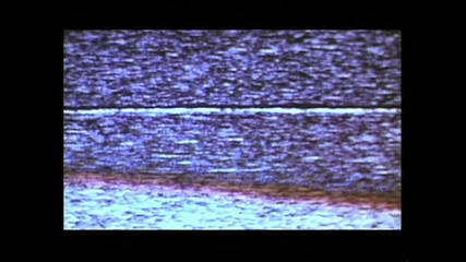 The hunters TV - (The best full movies xxx): एवा द वाइल्ड