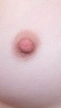 My Nipples