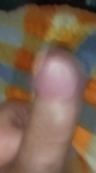 Pau dentro