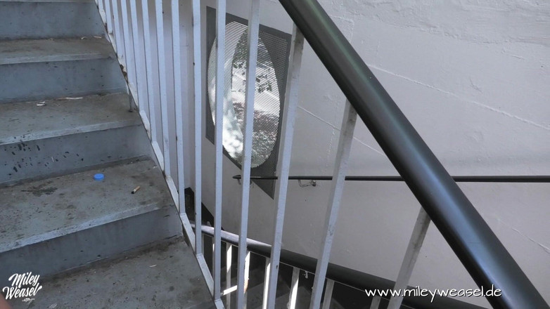 Miley Weasel: Anh ấy đụ tôi ngoài trời !!