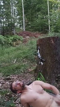 切り株の狩り、パート2