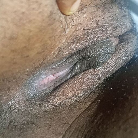Faphouse