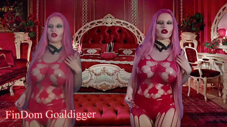 FinDom Goaldigger: Goonerland