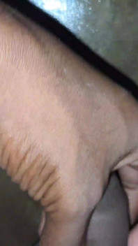 Desi Handjob with Black Cock