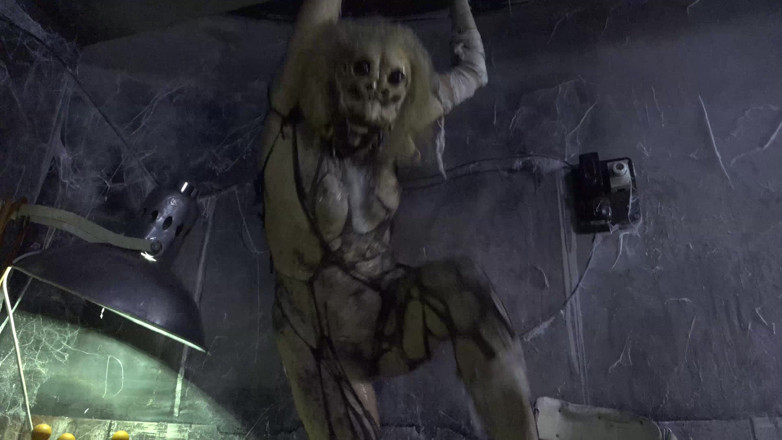 Horror porn: Порно ужасов 17: Женщина-паук